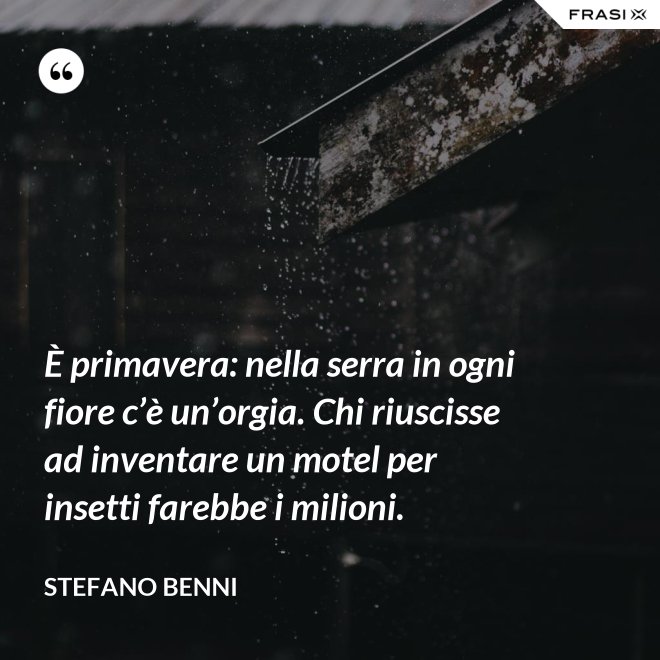 È primavera: nella serra in ogni fiore c’è un’orgia. Chi riuscisse ad inventare un motel per insetti farebbe i milioni. - Stefano Benni
