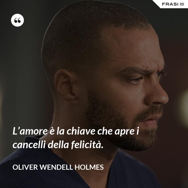 L’amore è la chiave che apre i cancelli della felicità. - Oliver Wendell Holmes