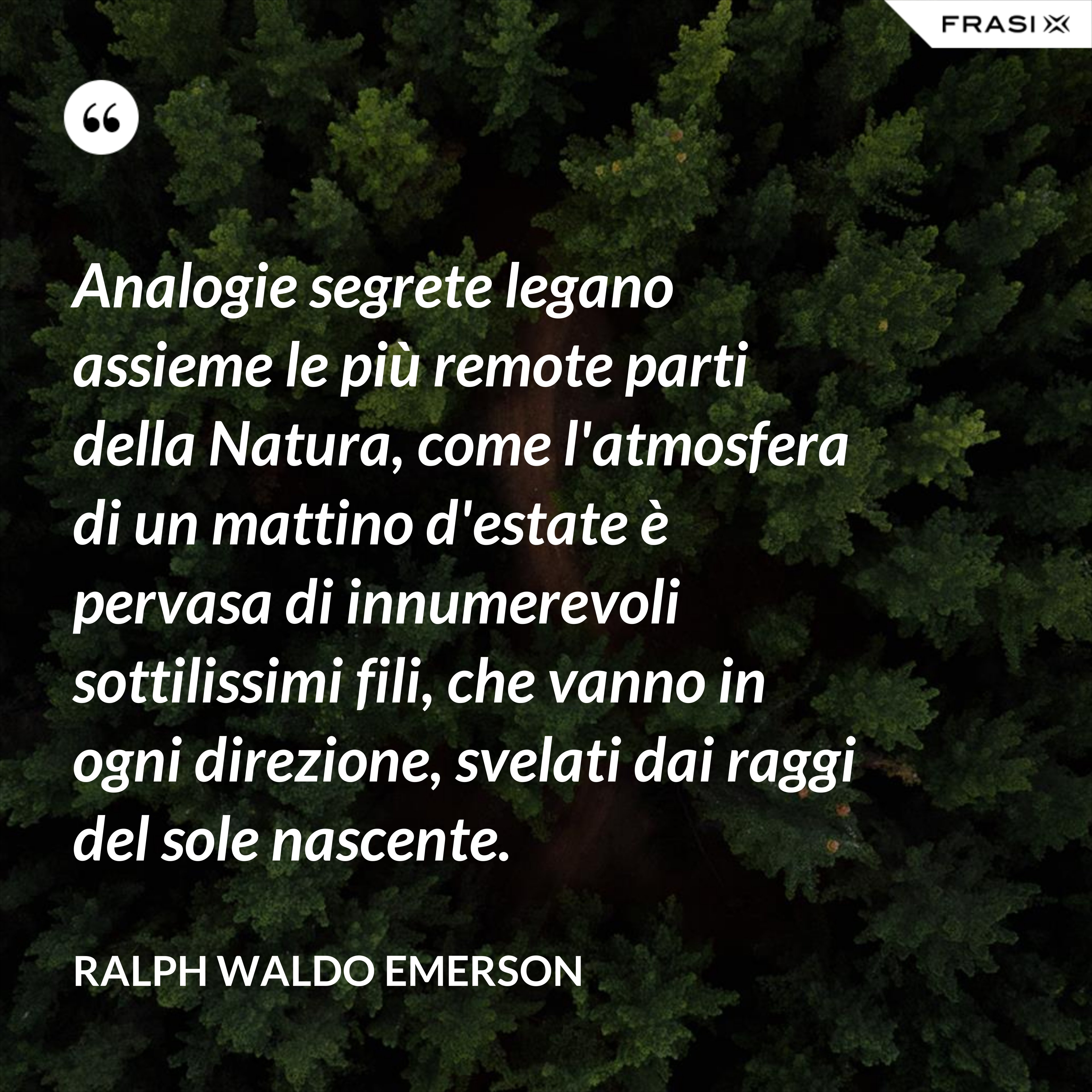 Analogie segrete legano assieme le più remote parti della Natura, come l'atmosfera di un mattino d'estate è pervasa di innumerevoli sottilissimi fili, che vanno in ogni direzione, svelati dai raggi del sole nascente. - Ralph Waldo Emerson