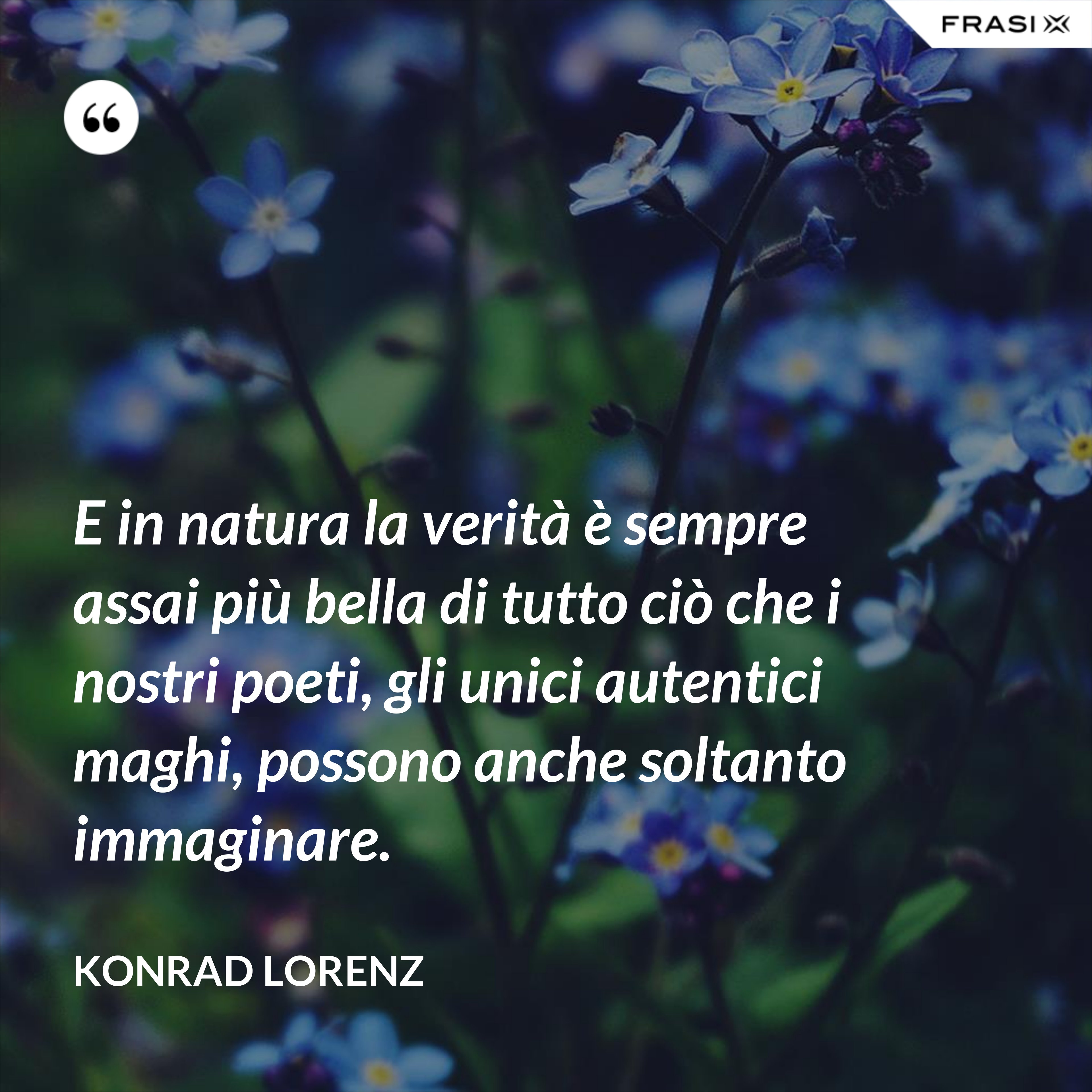 E in natura la verità è sempre assai più bella di tutto ciò che i nostri poeti, gli unici autentici maghi, possono anche soltanto immaginare. - Konrad Lorenz