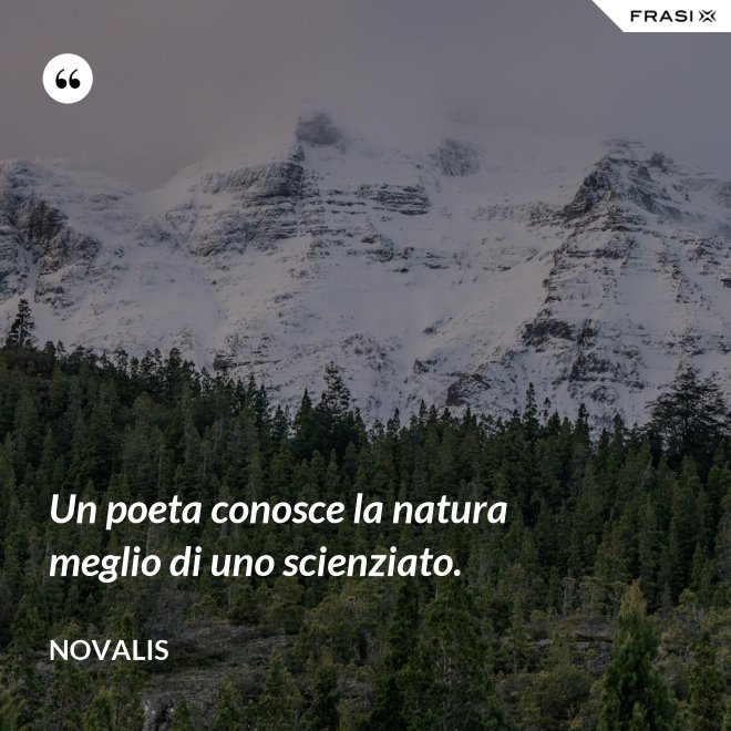 Un poeta conosce la natura meglio di uno scienziato. - Novalis