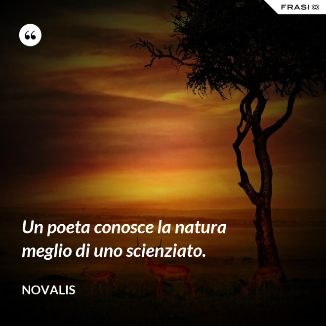 Un poeta conosce la natura meglio di uno scienziato. - Novalis