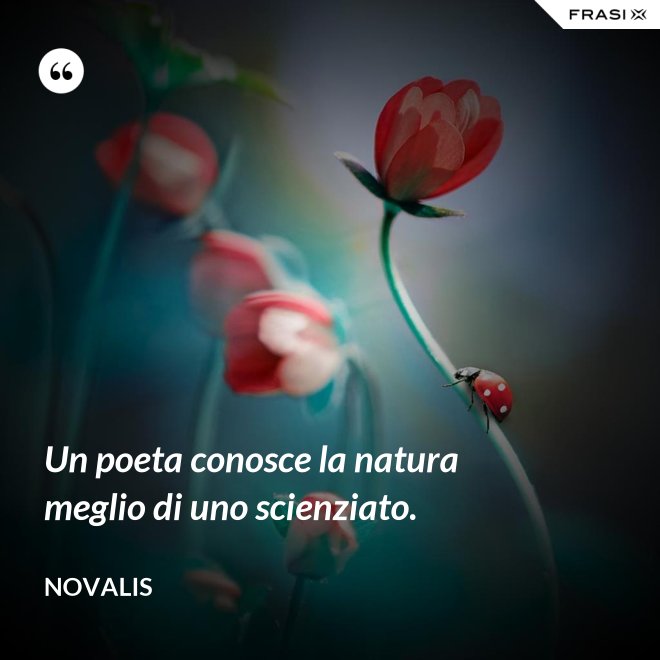 Un poeta conosce la natura meglio di uno scienziato. - Novalis