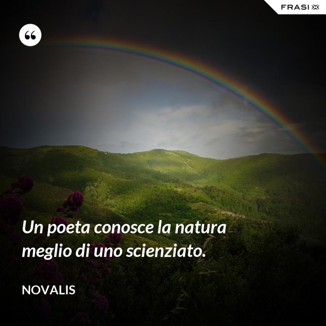 Un poeta conosce la natura meglio di uno scienziato. - Novalis