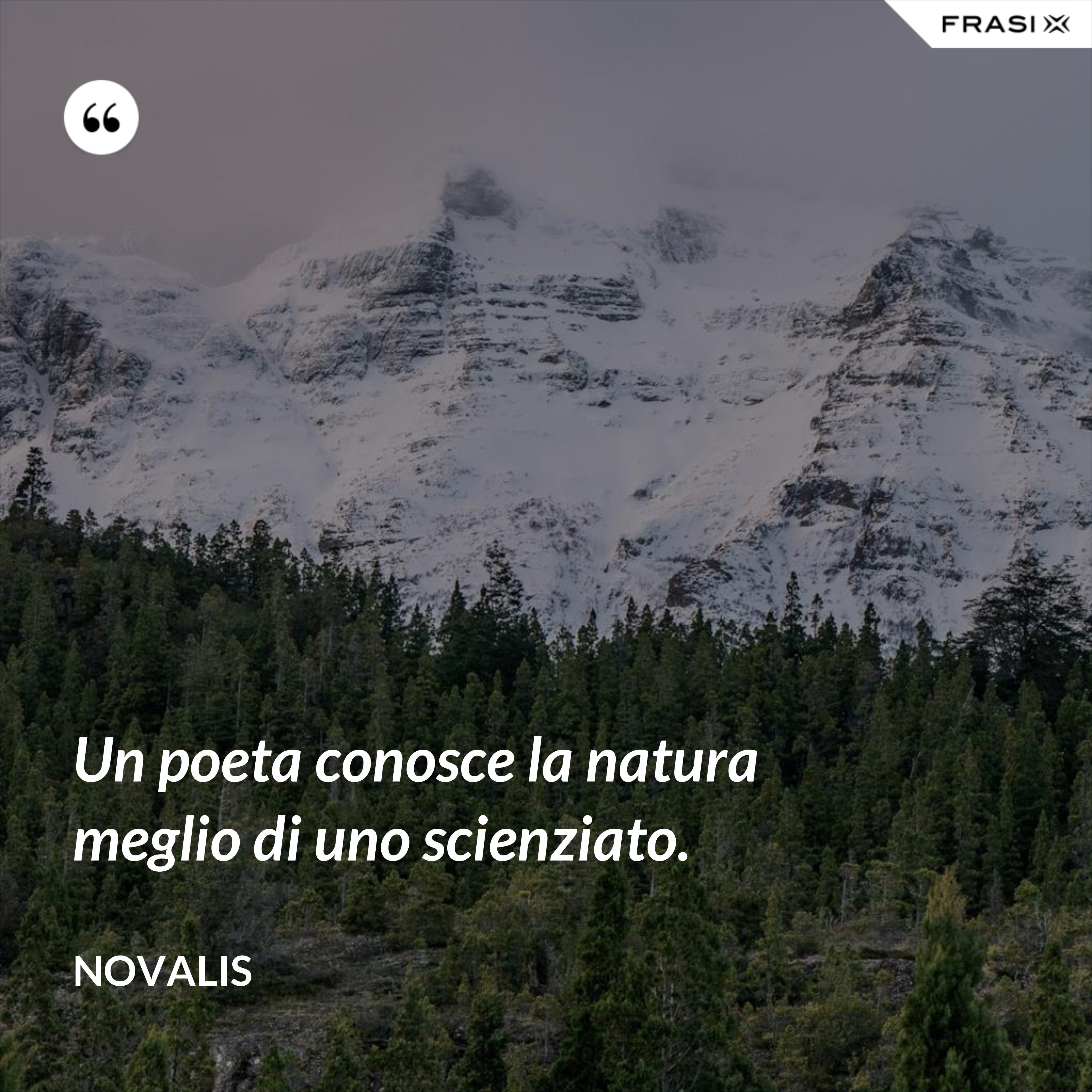 Un poeta conosce la natura meglio di uno scienziato. - Novalis