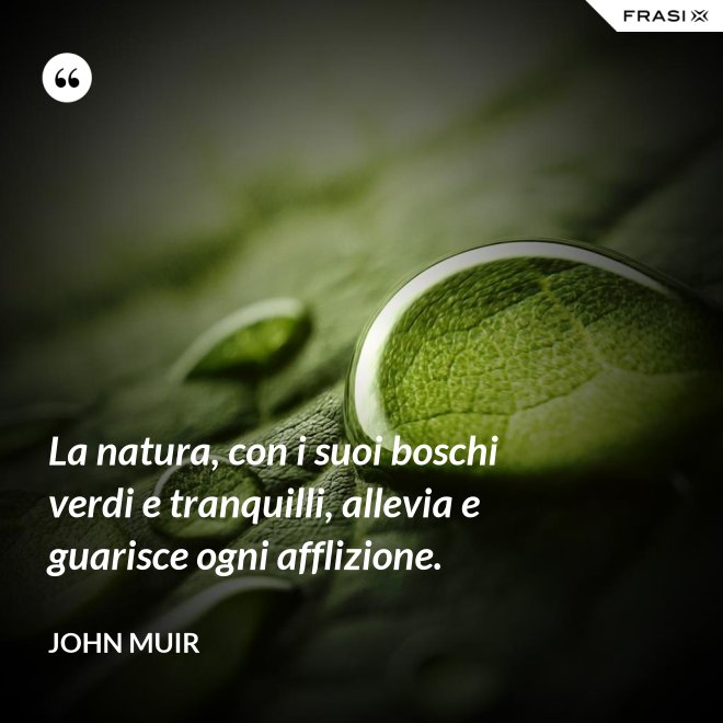 La natura, con i suoi boschi verdi e tranquilli, allevia e guarisce ogni afflizione. - John Muir