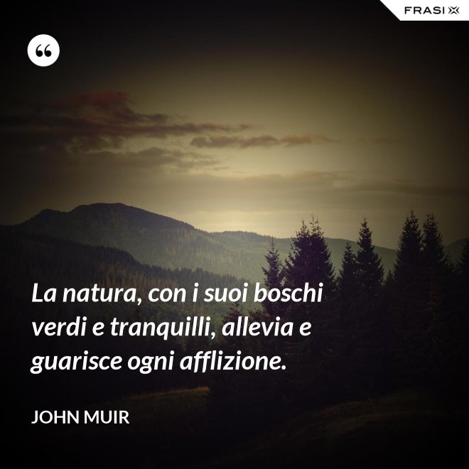 La natura, con i suoi boschi verdi e tranquilli, allevia e guarisce ogni afflizione. - John Muir