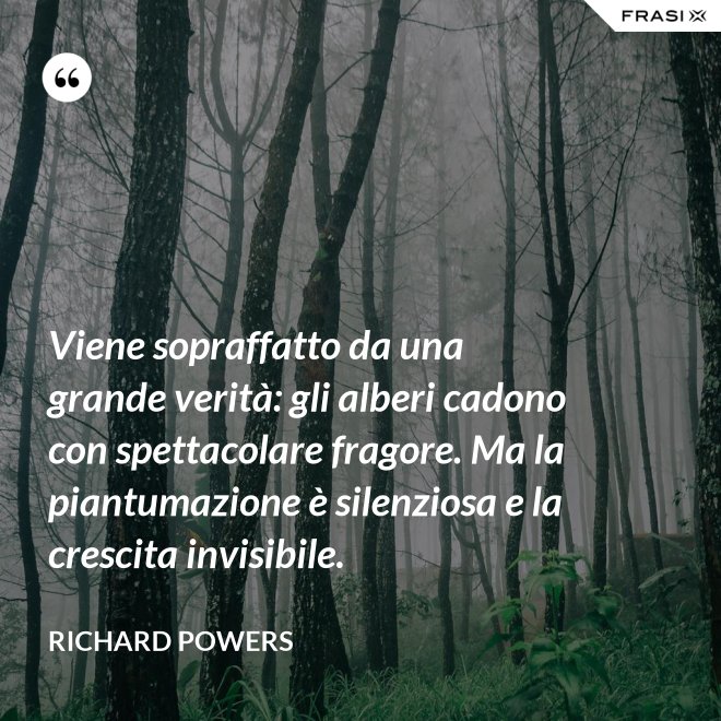 Viene sopraffatto da una grande verità: gli alberi cadono con spettacolare fragore. Ma la piantumazione è silenziosa e la crescita invisibile. - Richard Powers