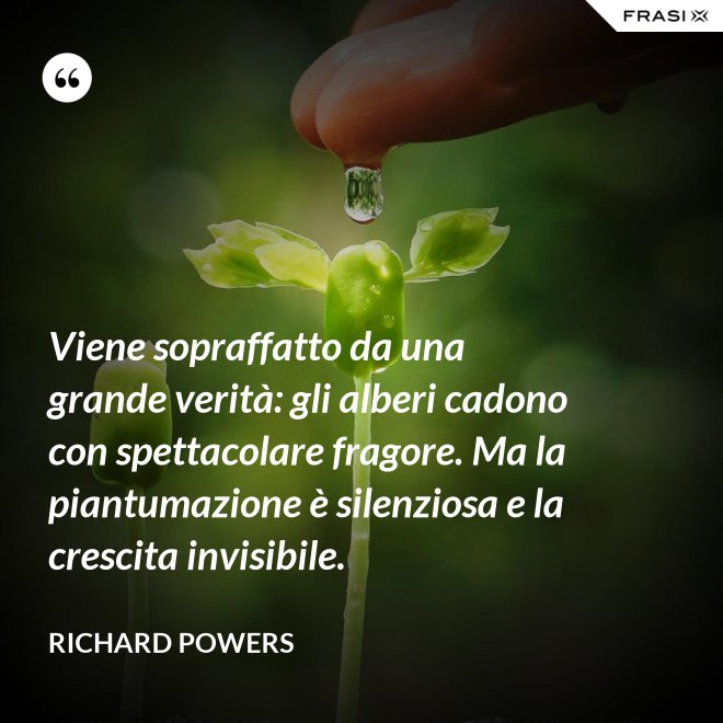 Viene sopraffatto da una grande verità: gli alberi cadono con spettacolare fragore. Ma la piantumazione è silenziosa e la crescita invisibile. - Richard Powers