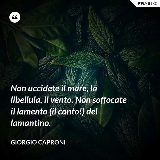 Non uccidete il mare, la libellula, il vento. Non soffocate il lamento (il canto!) del lamantino. - Giorgio Caproni