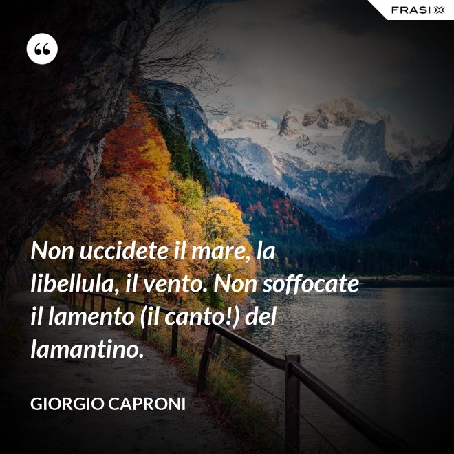 Non uccidete il mare, la libellula, il vento. Non soffocate il lamento (il canto!) del lamantino. - Giorgio Caproni