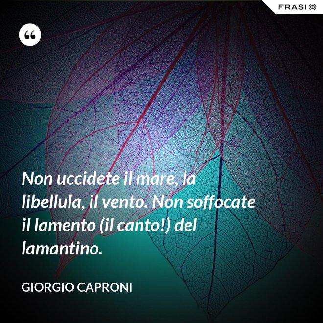 Non uccidete il mare, la libellula, il vento. Non soffocate il lamento (il canto!) del lamantino. - Giorgio Caproni
