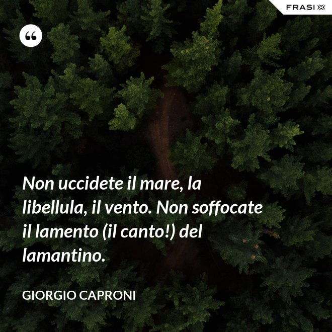 Non uccidete il mare, la libellula, il vento. Non soffocate il lamento (il canto!) del lamantino. - Giorgio Caproni