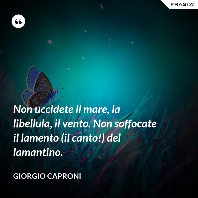 Non uccidete il mare, la libellula, il vento. Non soffocate il lamento (il canto!) del lamantino. - Giorgio Caproni