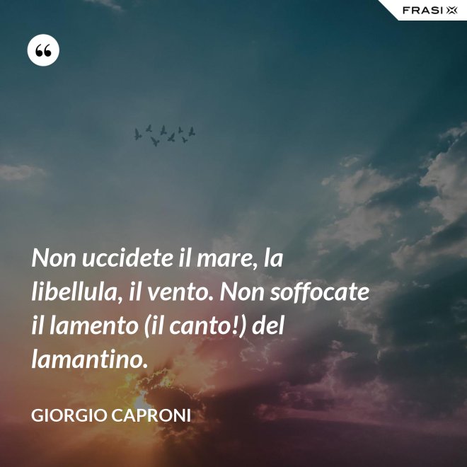 Non uccidete il mare, la libellula, il vento. Non soffocate il lamento (il canto!) del lamantino. - Giorgio Caproni