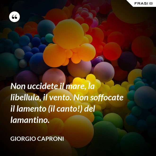 Non uccidete il mare, la libellula, il vento. Non soffocate il lamento (il canto!) del lamantino. - Giorgio Caproni