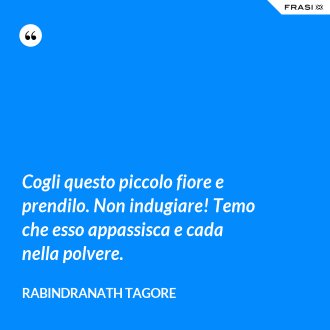Cogli questo piccolo fiore e prendilo. Non indugiare! Temo che esso appassisca e cada nella polvere. - Rabindranath Tagore