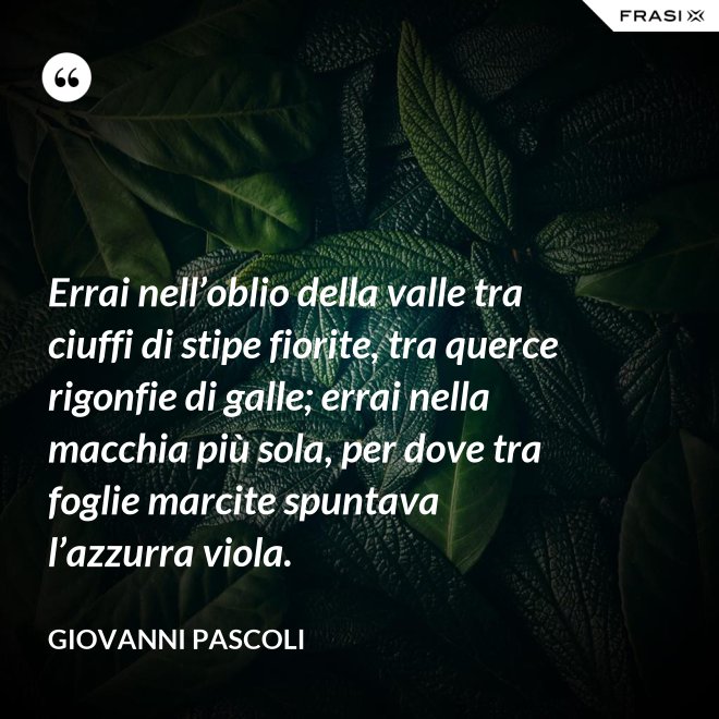Errai nell’oblio della valle tra ciuffi di stipe fiorite, tra querce rigonfie di galle; errai nella macchia più sola, per dove tra foglie marcite spuntava l’azzurra viola. - Giovanni Pascoli