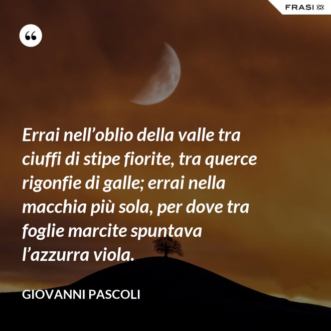 Errai nell’oblio della valle tra ciuffi di stipe fiorite, tra querce rigonfie di galle; errai nella macchia più sola, per dove tra foglie marcite spuntava l’azzurra viola. - Giovanni Pascoli