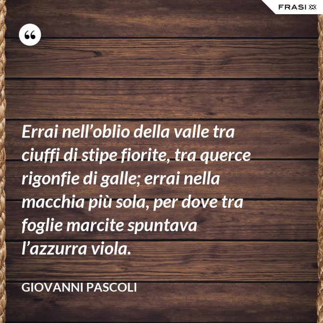 Errai nell’oblio della valle tra ciuffi di stipe fiorite, tra querce rigonfie di galle; errai nella macchia più sola, per dove tra foglie marcite spuntava l’azzurra viola. - Giovanni Pascoli