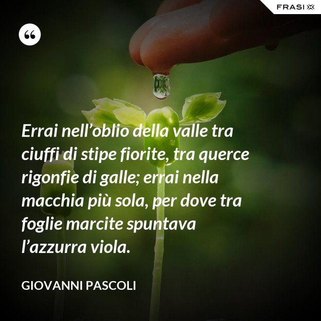 Errai nell’oblio della valle tra ciuffi di stipe fiorite, tra querce rigonfie di galle; errai nella macchia più sola, per dove tra foglie marcite spuntava l’azzurra viola. - Giovanni Pascoli