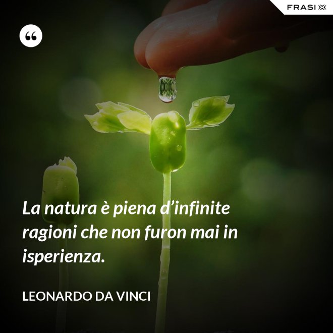 La natura è piena d’infinite ragioni che non furon mai in isperienza. - Leonardo Da Vinci