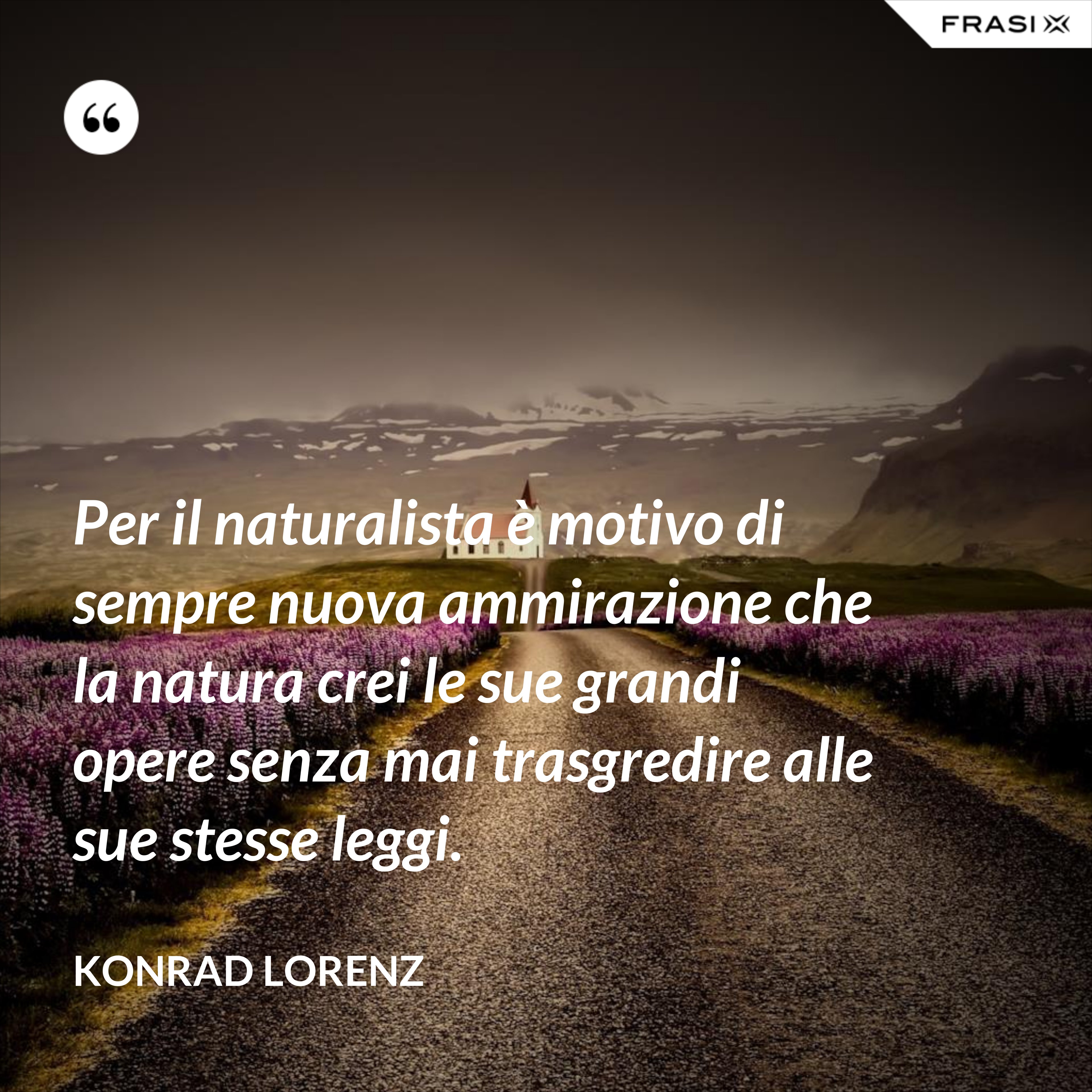 Per il naturalista è motivo di sempre nuova ammirazione che la natura crei le sue grandi opere senza mai trasgredire alle sue stesse leggi. - Konrad Lorenz
