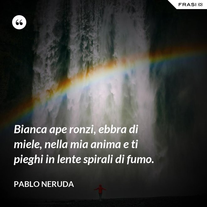 Bianca ape ronzi, ebbra di miele, nella mia anima e ti pieghi in lente spirali di fumo. - Pablo Neruda