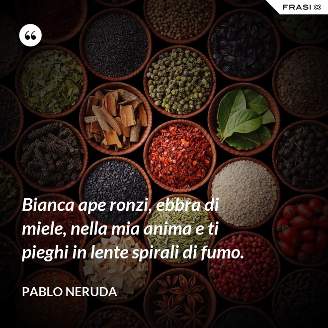 Bianca ape ronzi, ebbra di miele, nella mia anima e ti pieghi in lente spirali di fumo. - Pablo Neruda