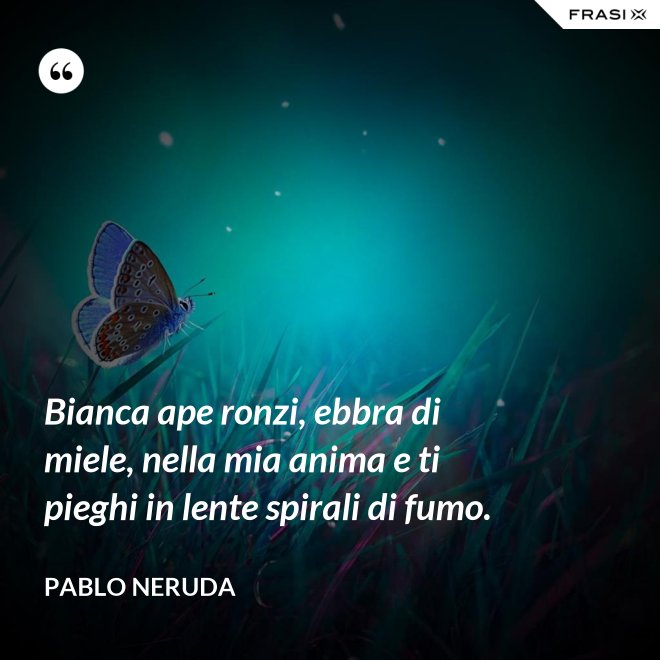 Bianca ape ronzi, ebbra di miele, nella mia anima e ti pieghi in lente spirali di fumo. - Pablo Neruda