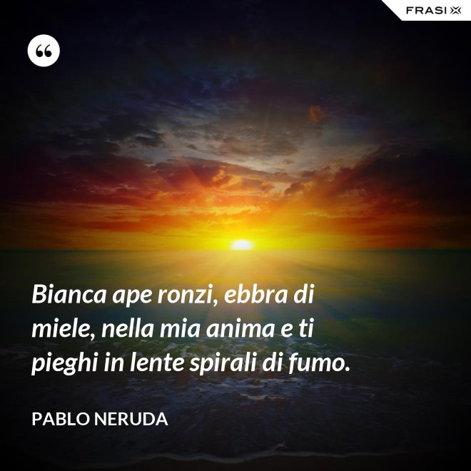 Bianca ape ronzi, ebbra di miele, nella mia anima e ti pieghi in lente spirali di fumo. - Pablo Neruda