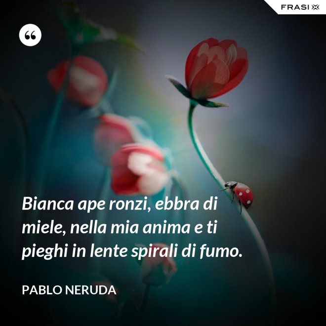 Bianca ape ronzi, ebbra di miele, nella mia anima e ti pieghi in lente spirali di fumo. - Pablo Neruda