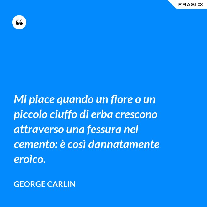 Mi piace quando un fiore o un piccolo ciuffo di erba crescono attraverso una fessura nel cemento: è così dannatamente eroico. - George Carlin