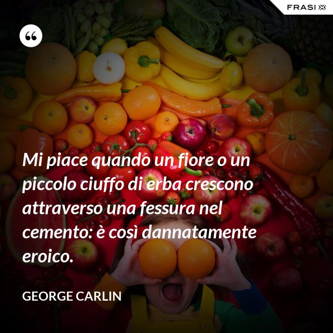 Mi piace quando un fiore o un piccolo ciuffo di erba crescono attraverso una fessura nel cemento: è così dannatamente eroico. - George Carlin