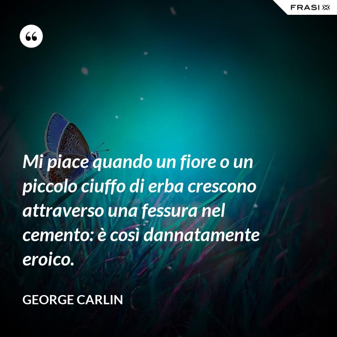 Mi piace quando un fiore o un piccolo ciuffo di erba crescono attraverso una fessura nel cemento: è così dannatamente eroico. - George Carlin