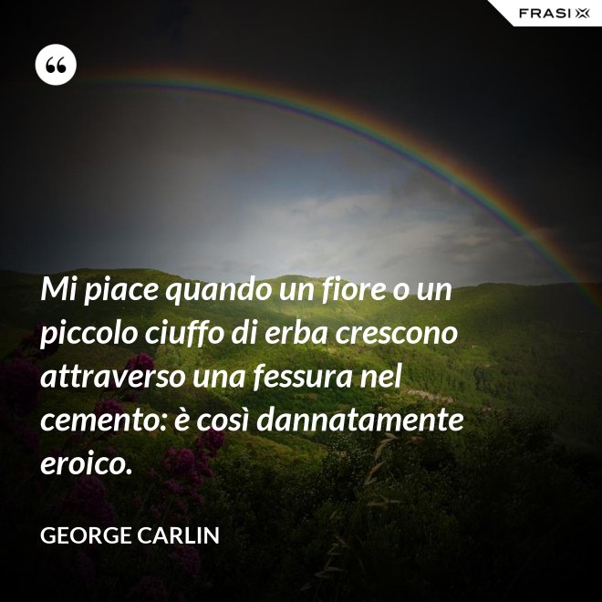 Mi piace quando un fiore o un piccolo ciuffo di erba crescono attraverso una fessura nel cemento: è così dannatamente eroico. - George Carlin