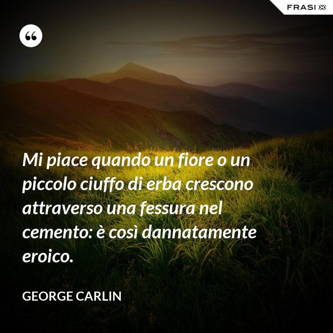 Mi piace quando un fiore o un piccolo ciuffo di erba crescono attraverso una fessura nel cemento: è così dannatamente eroico. - George Carlin