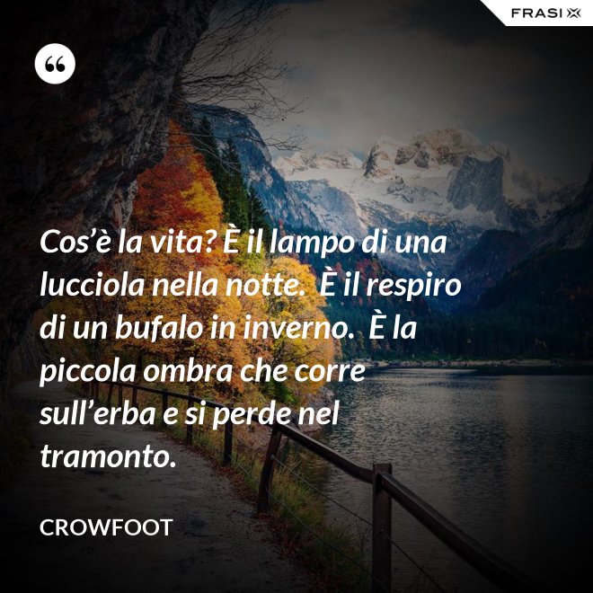 Cos’è la vita? È il lampo di una lucciola nella notte.  È il respiro di un bufalo in inverno.  È la piccola ombra che corre sull’erba e si perde nel tramonto. - Crowfoot