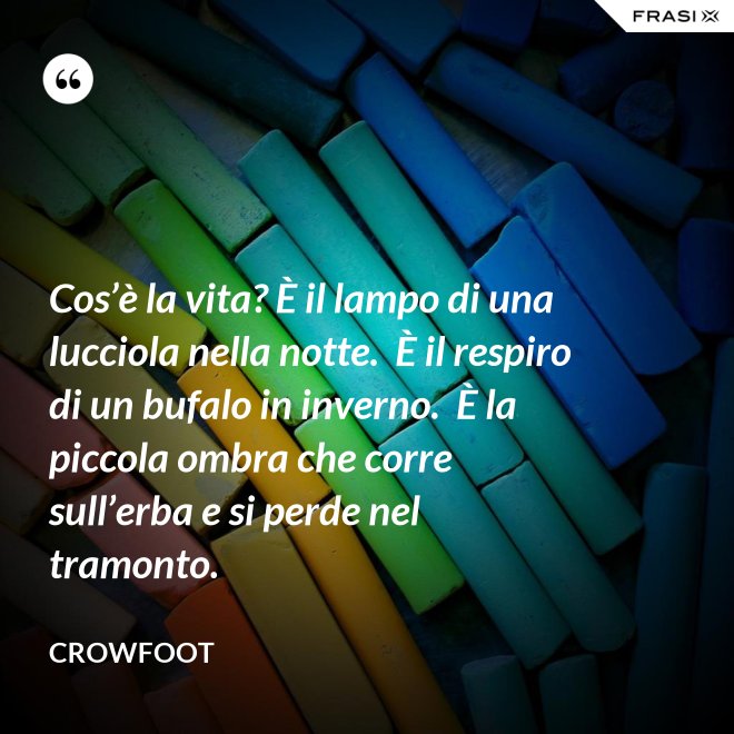 Cos’è la vita? È il lampo di una lucciola nella notte.  È il respiro di un bufalo in inverno.  È la piccola ombra che corre sull’erba e si perde nel tramonto. - Crowfoot