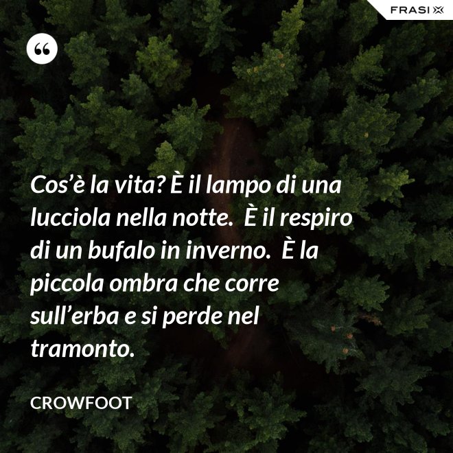 Cos’è la vita? È il lampo di una lucciola nella notte.  È il respiro di un bufalo in inverno.  È la piccola ombra che corre sull’erba e si perde nel tramonto. - Crowfoot