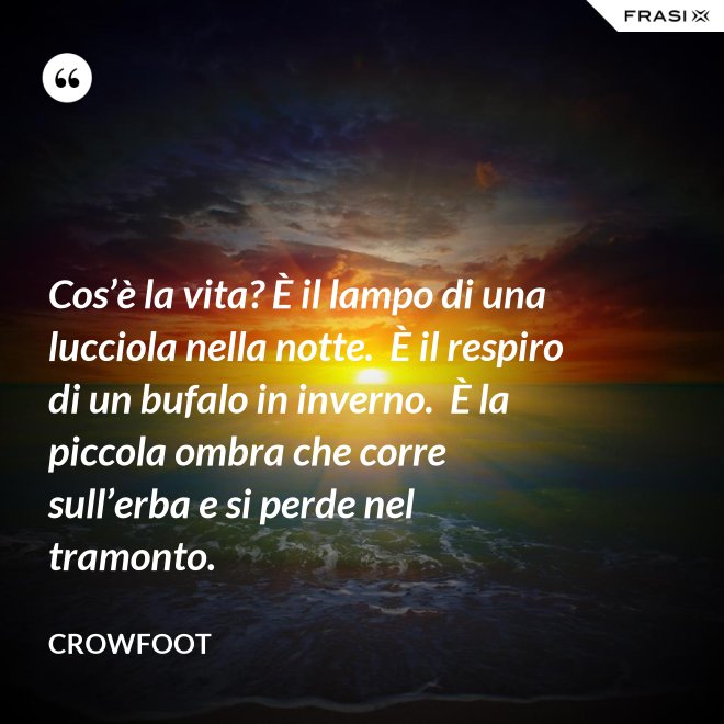Cos’è la vita? È il lampo di una lucciola nella notte.  È il respiro di un bufalo in inverno.  È la piccola ombra che corre sull’erba e si perde nel tramonto. - Crowfoot