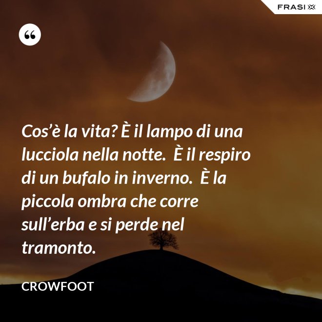 Cos’è la vita? È il lampo di una lucciola nella notte.  È il respiro di un bufalo in inverno.  È la piccola ombra che corre sull’erba e si perde nel tramonto. - Crowfoot