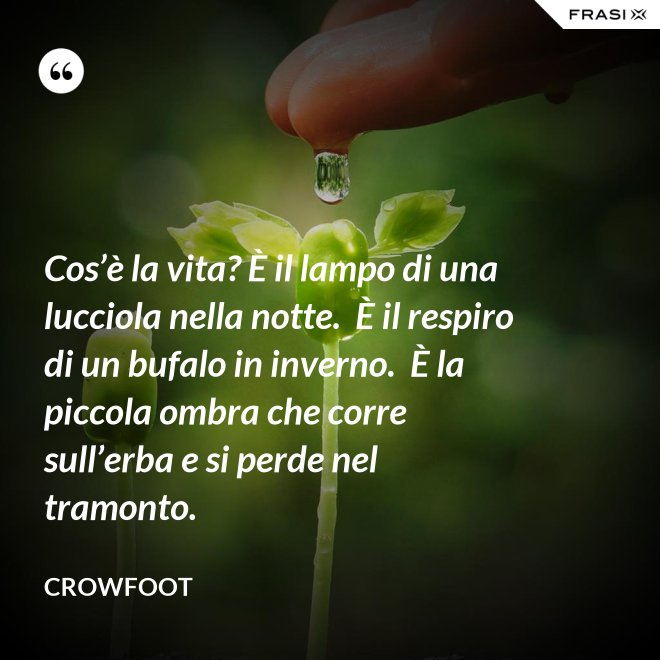 Cos’è la vita? È il lampo di una lucciola nella notte.  È il respiro di un bufalo in inverno.  È la piccola ombra che corre sull’erba e si perde nel tramonto. - Crowfoot