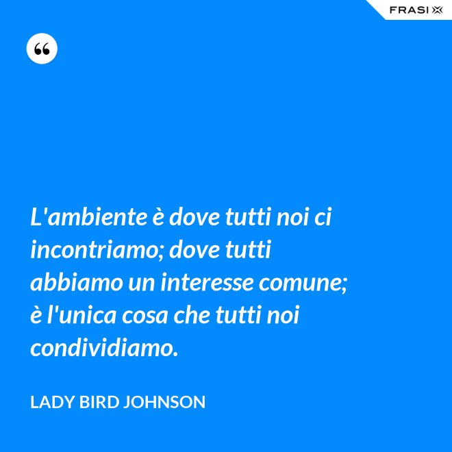 L'ambiente è dove tutti noi ci incontriamo; dove tutti abbiamo un interesse comune; è l'unica cosa che tutti noi condividiamo. - Lady Bird Johnson