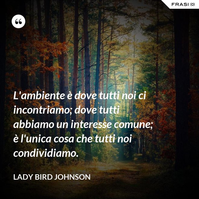 L'ambiente è dove tutti noi ci incontriamo; dove tutti abbiamo un interesse comune; è l'unica cosa che tutti noi condividiamo. - Lady Bird Johnson