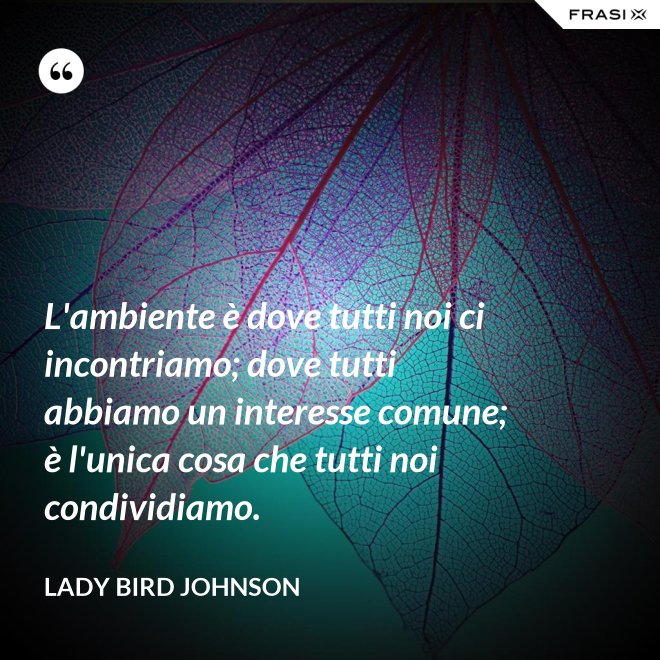 L'ambiente è dove tutti noi ci incontriamo; dove tutti abbiamo un interesse comune; è l'unica cosa che tutti noi condividiamo. - Lady Bird Johnson