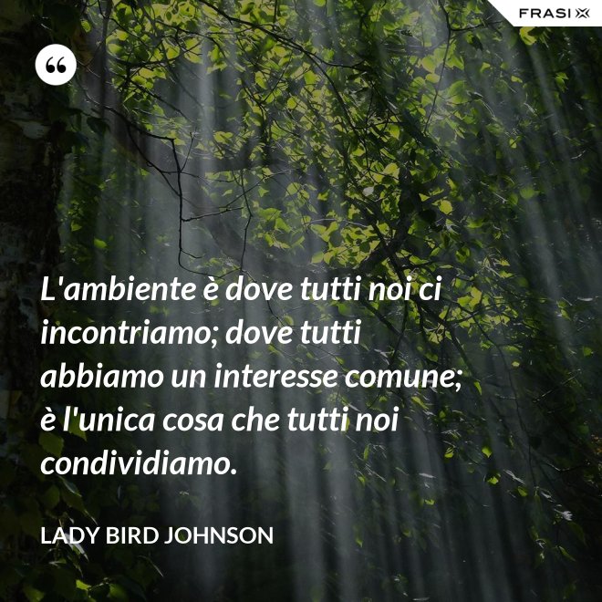 L'ambiente è dove tutti noi ci incontriamo; dove tutti abbiamo un interesse comune; è l'unica cosa che tutti noi condividiamo. - Lady Bird Johnson