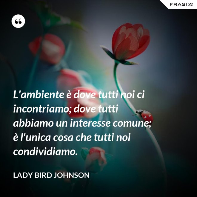 L'ambiente è dove tutti noi ci incontriamo; dove tutti abbiamo un interesse comune; è l'unica cosa che tutti noi condividiamo. - Lady Bird Johnson