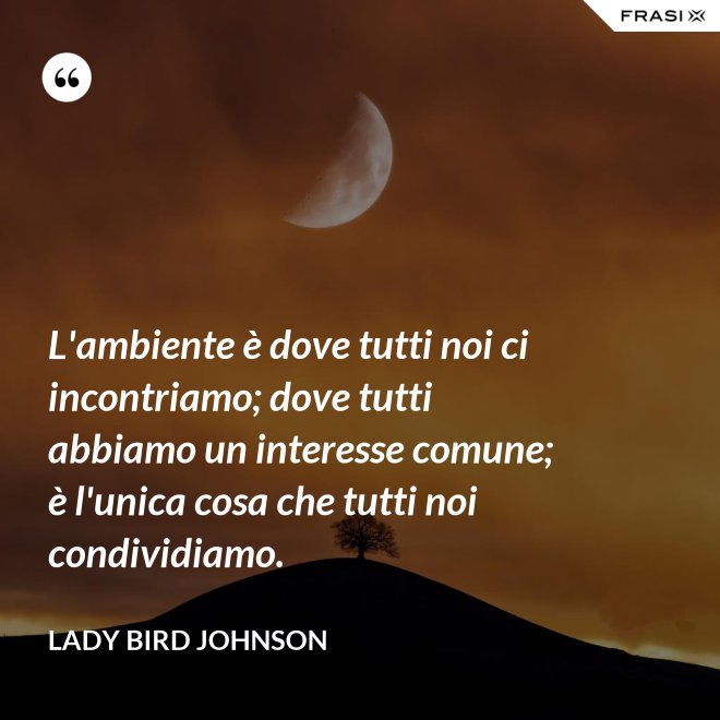 L'ambiente è dove tutti noi ci incontriamo; dove tutti abbiamo un interesse comune; è l'unica cosa che tutti noi condividiamo. - Lady Bird Johnson