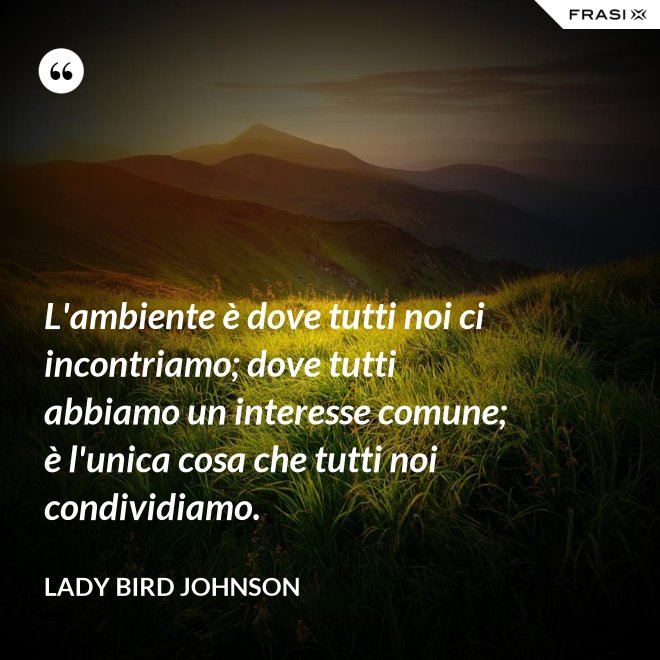 L'ambiente è dove tutti noi ci incontriamo; dove tutti abbiamo un interesse comune; è l'unica cosa che tutti noi condividiamo. - Lady Bird Johnson